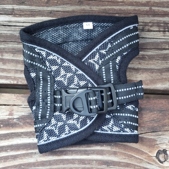 CatRomance Black and Silver Kitten Harness and Leash - Picture 7 of 14